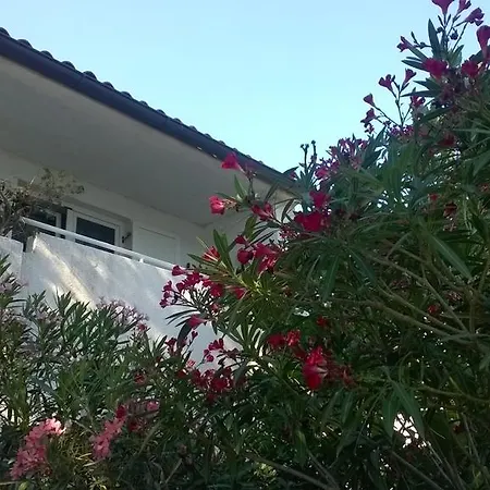 Apartament Sea Dreams