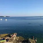Sea Dreams